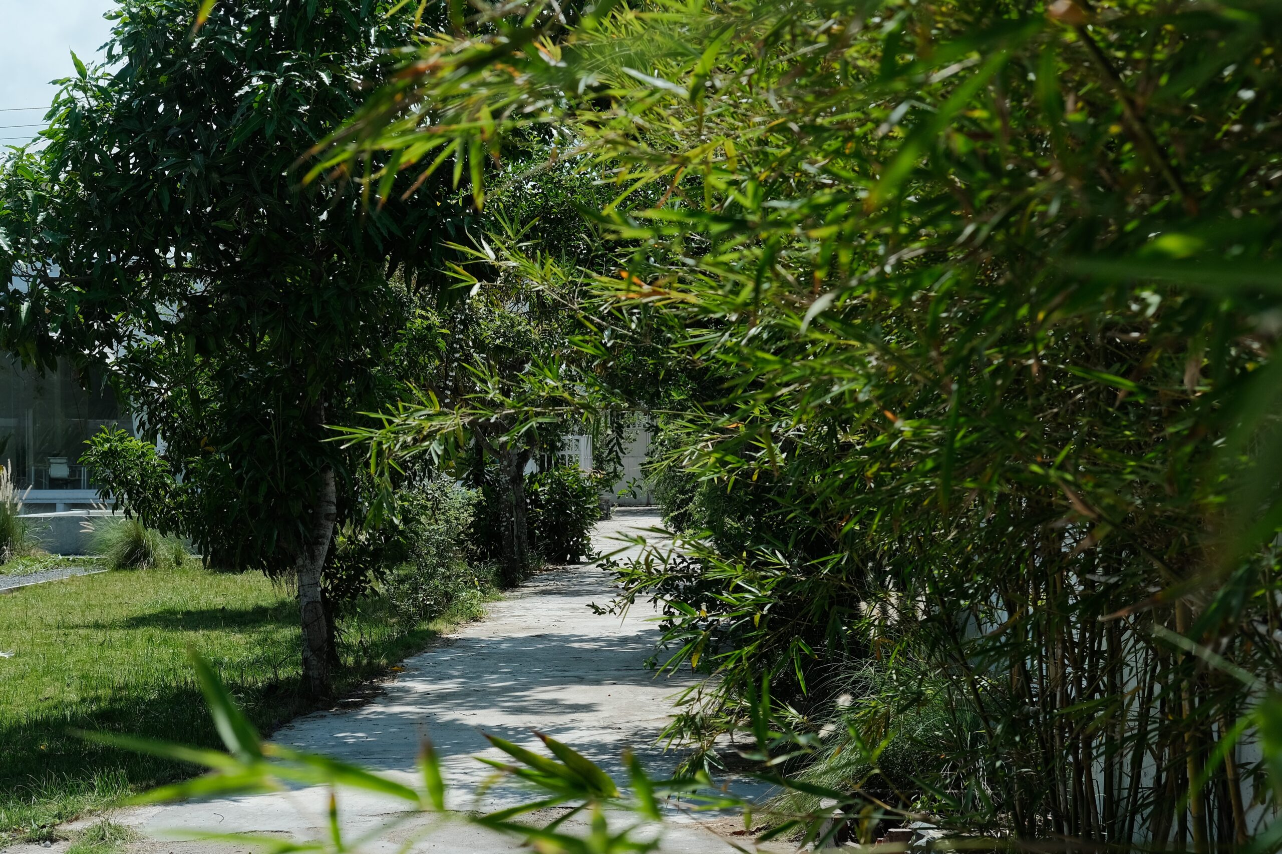 workation partnership policies