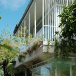 coliving near saigon