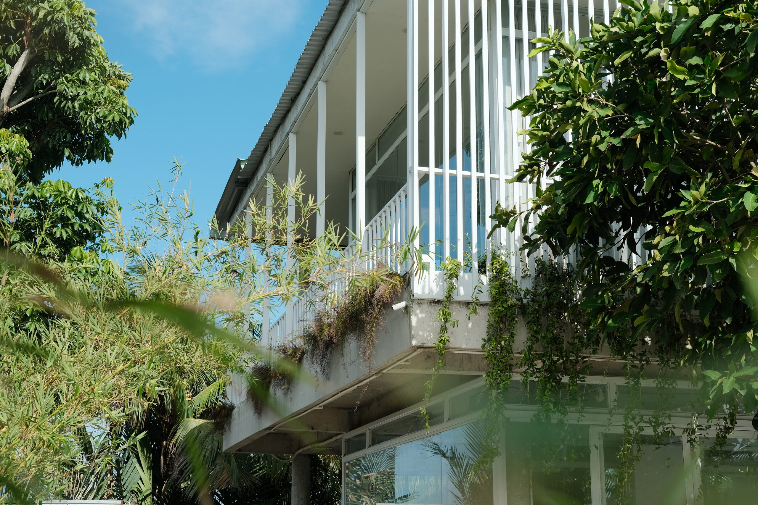 coliving near saigon