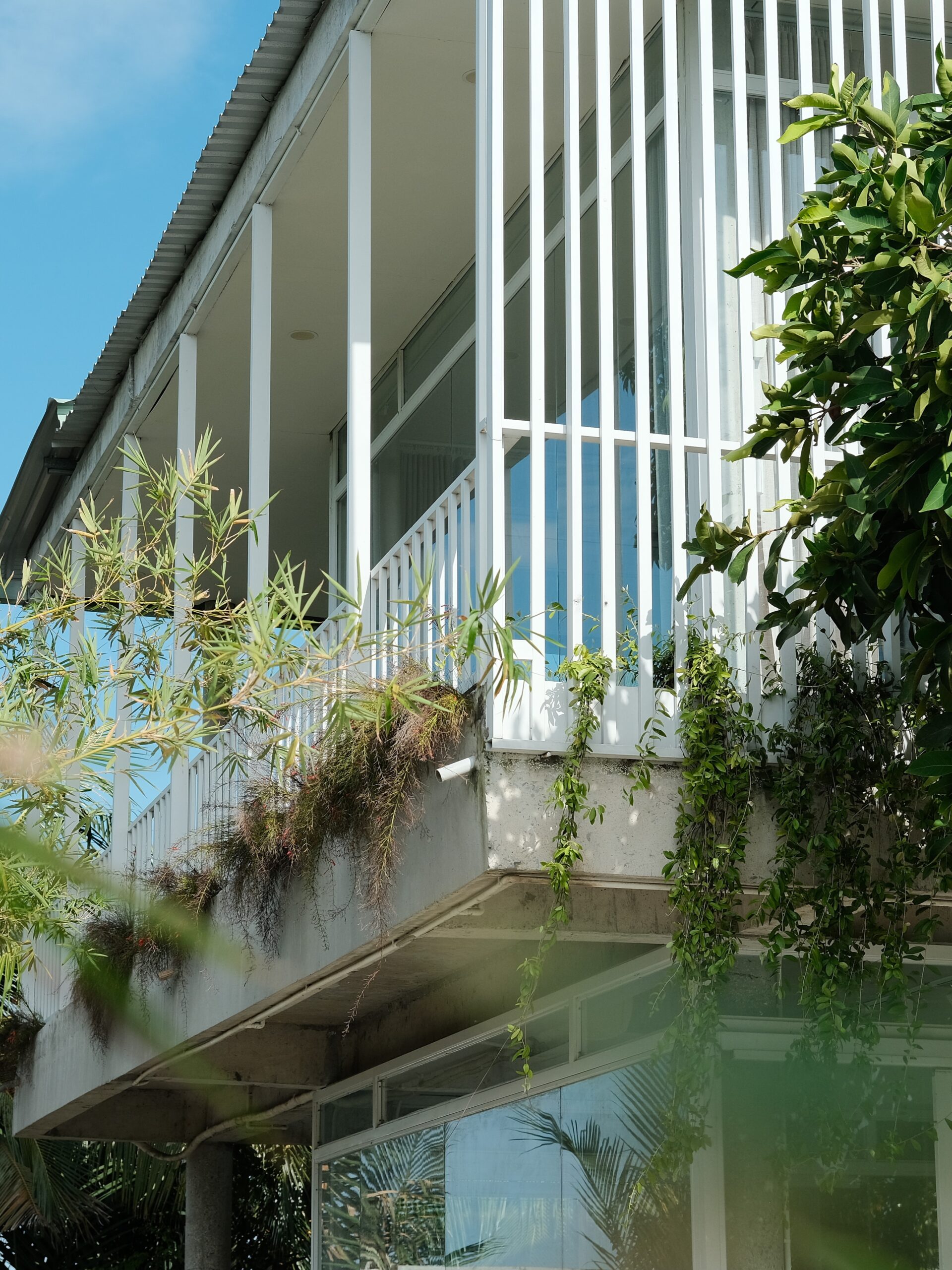 coliving near saigon