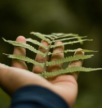 sujith-naik-fWT69Z0bc7Q-unsplash